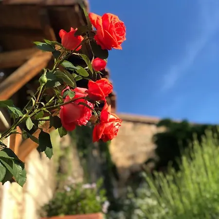 Le Relais Des Bouziges 3*
