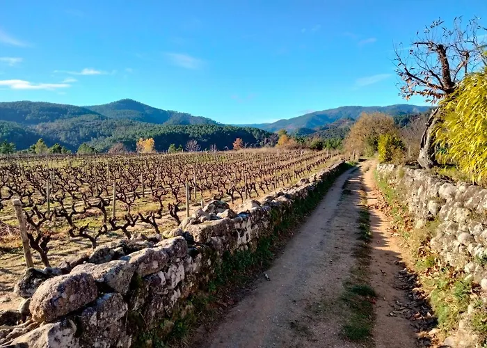 Le Relais Des Bouziges Bed and Breakfast Sanilhac (Ardeche)