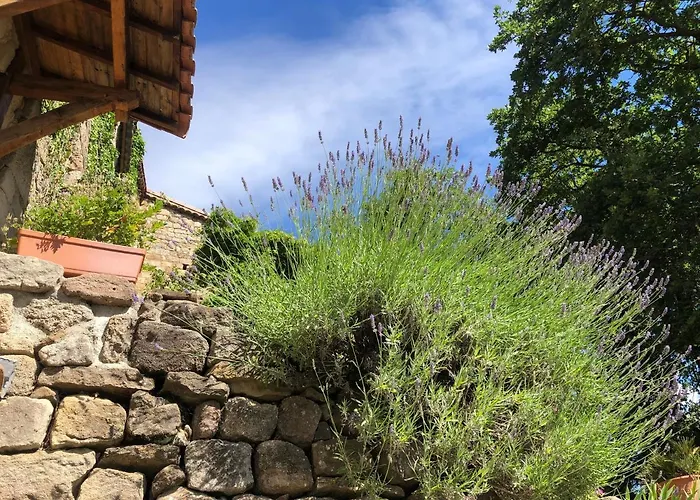 Le Relais Des Bouziges Bed and Breakfast Sanilhac (Ardeche)