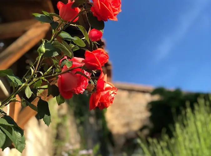Le Relais Des Bouziges 3*