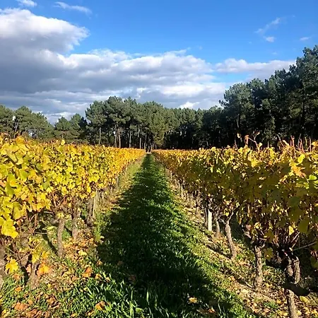 Le Relais Des Bouziges Panzió Sanilhac