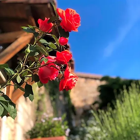 Le Relais Des Bouziges Panzió 3*